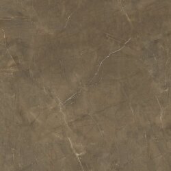 Плитка (60x60) 5959 Pulpis Lucido Rettificato - Cava Marmi Плитка (60x60) 5959 Pulpis Lucido Rettificato - Cava Marmi