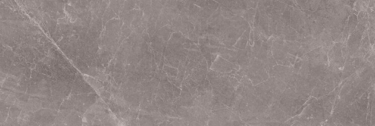 Плитка Rain Grey Polished 100x250 Exedra Kerlite з колекції Exedra Kerlite Плитка Rain Grey Polished 100x250 Exedra Kerlite з колекції Exedra Kerlite