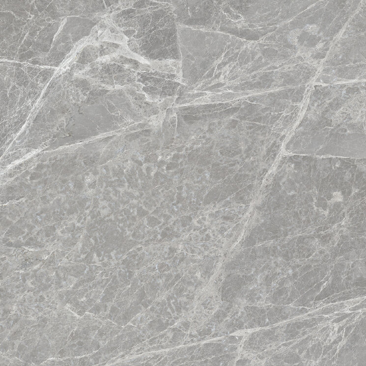 Плитка 59x59 Amaz. Grey Matt - Mus_eum - 184913 з колекції Mus_eum Sichenia Плитка 59x59 Amaz. Grey Matt - Mus_eum - 184913 з колекції Mus_eum Sichenia