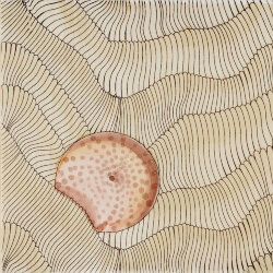 Декор - 20x20 Thalassa Decoro 2 Avana 03 Cristina Celestino Декор - 20x20 Thalassa Decoro 2 Avana 03 Cristina Celestino