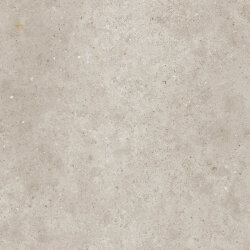 Плитка 80x80 Anima Beige Ret - Anima - PF60007809 Плитка 80x80 Anima Beige Ret - Anima - PF60007809