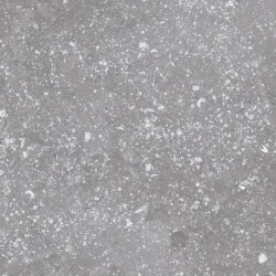 Плитка (20x20) 23573 Coralstone grey Eq-4 - Coralstone
