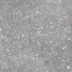 Плитка (20x20) 23573 Coralstone grey Eq-4 - Coralstone Плитка (20x20) 23573 Coralstone grey Eq-4 - Coralstone