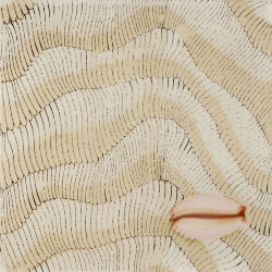 Декор - 20x20 Thalassa Decoro 3 Avana 03 Cristina Celestino Декор - 20x20 Thalassa Decoro 3 Avana 03 Cristina Celestino