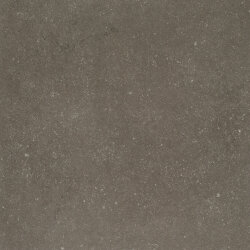 Плитка (50x50) EG4BU05 Cendre Plus - Kerlite Buxy Плитка (50x50) EG4BU05 Cendre Plus - Kerlite Buxy