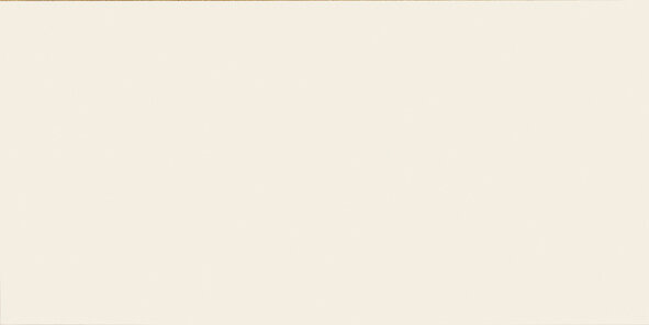 Плитка 29.8x59.6 GALLERY WHITE PULIDO Land Porcelanico з колекції Gallery Land Porcelanico Плитка 29.8x59.6 GALLERY WHITE PULIDO Land Porcelanico з колекції Gallery Land Porcelanico