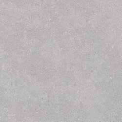 Плитка R Gris 59.3x59.3 Nassau Vives Плитка R Gris 59.3x59.3 Nassau Vives