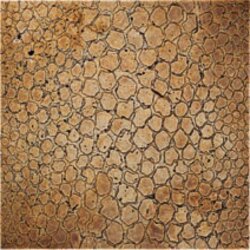 Декор (30.5x30.5) Maku Fondo Naturale-Decoro Trav Noce - Emotions Декор (30.5x30.5) Maku Fondo Naturale-Decoro Trav Noce - Emotions