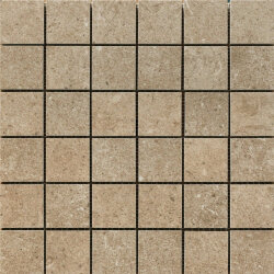 Мозаїка (30x30) PF00007923 Explorer 300Tabacco Mosaico - Explorer Мозаїка (30x30) PF00007923 Explorer 300Tabacco Mosaico - Explorer