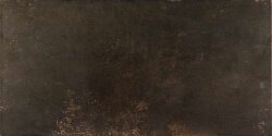 Плитка Evolution Bronce Lapatto 49.1Х 98.2 R Плитка Evolution Bronce Lapatto 49.1Х 98.2 R