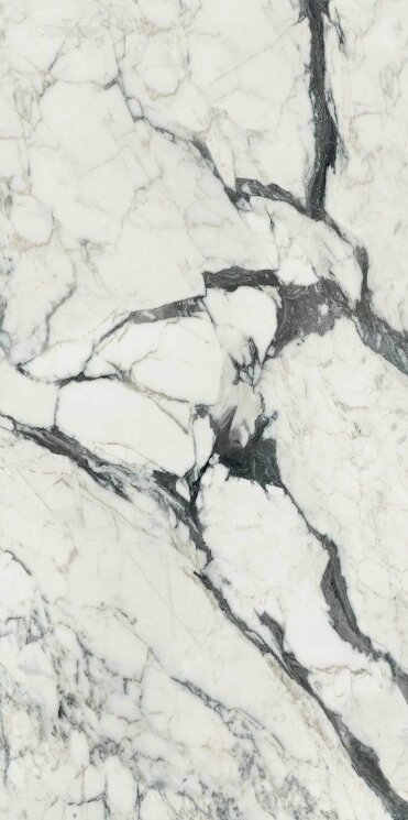 Плитка 120x240 Les Bijoux Calacatta Altissimo Blanc Glossy - Les Bijoux de Rex - 765721 з колекції Les Bijoux de Rex Rex Плитка 120x240 Les Bijoux Calacatta Altissimo Blanc Glossy - Les Bijoux de Rex - 765721 з колекції Les Bijoux de Rex Rex